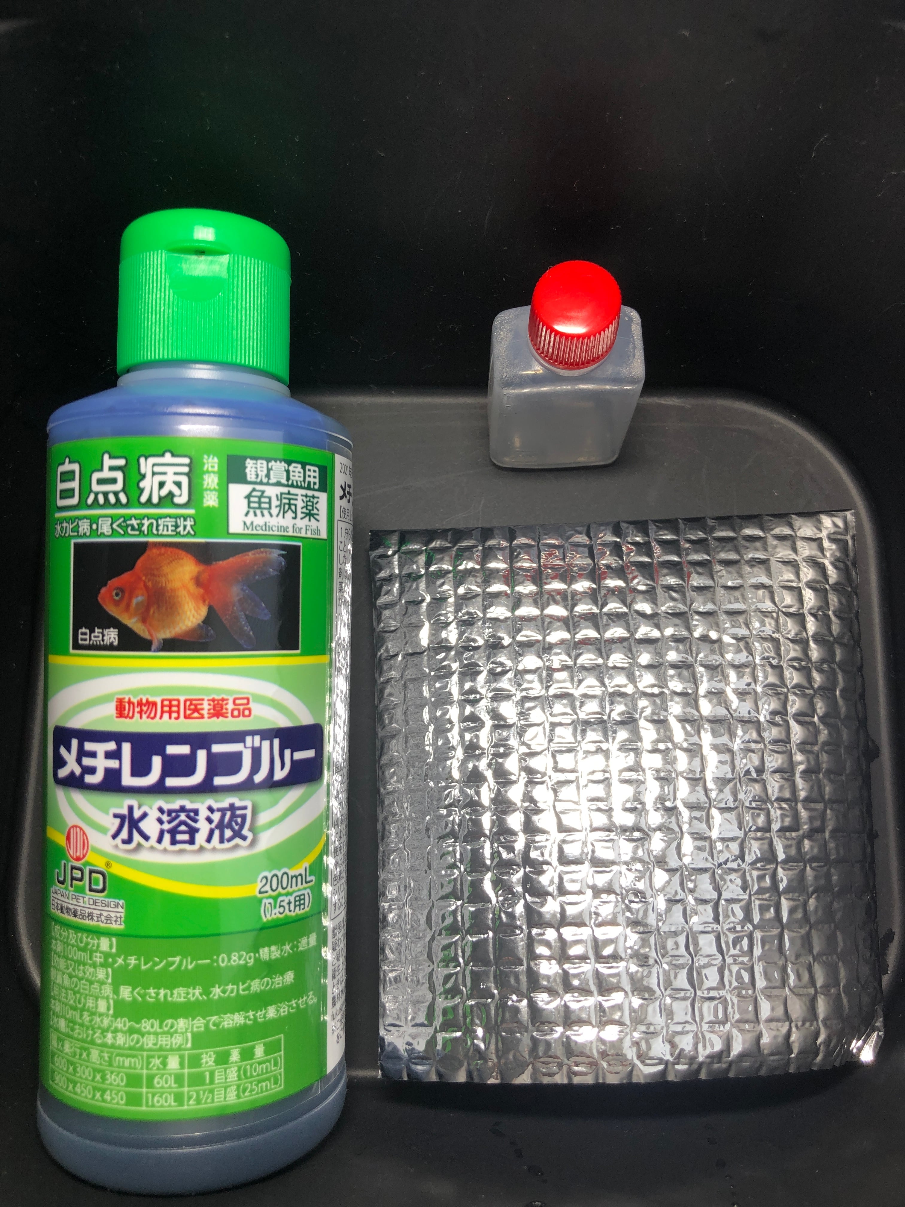 ボリビア産　ナンベイオオタガメ　112mm(管まで) Yahoo!オークション -「ナンベイオオタガメ」(ペット、生き物) の落札