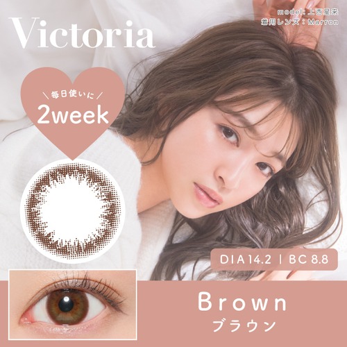 ヴィクトリア 2ウィーク(Victoria 2Week)《Brown》ブラウン[6枚入り]