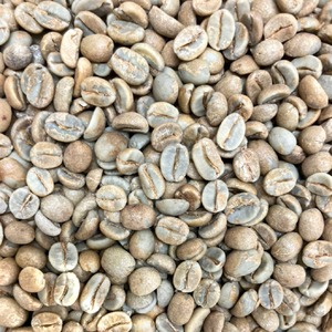 サンヘラルド アナエロビック ナチュラル生豆 原袋(約30kg)