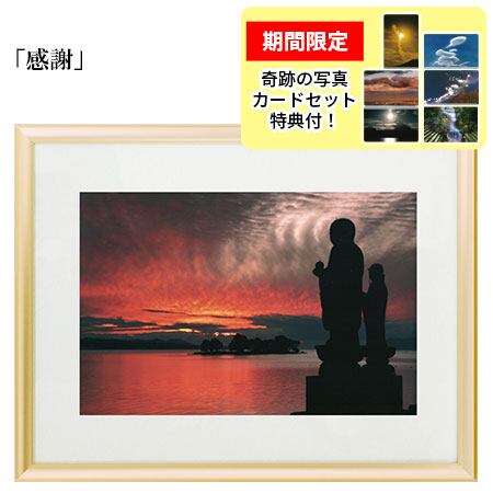 斎藤恭代 漫画パチンカー 直筆サイン入りチェキ 斎藤恭代 漫画パチンカー 直筆サイン入りチェキ - メルカリ