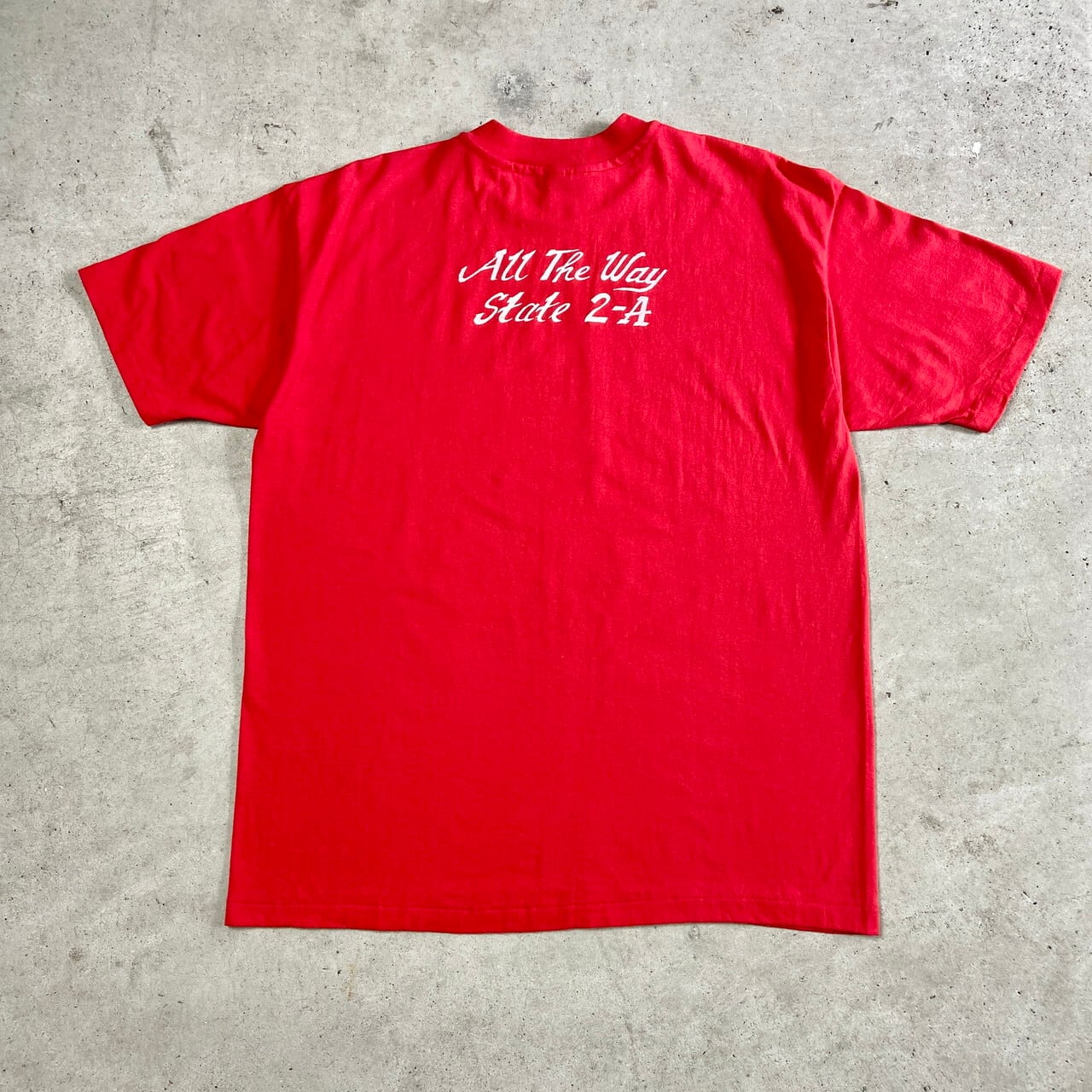 80年代 LADY RED DEVILS チームロゴ プリントTシャツ メンズXL 古着