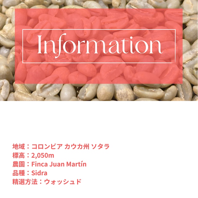 【生豆】コロンビア│ Finca Juan Martín Sidra Washed