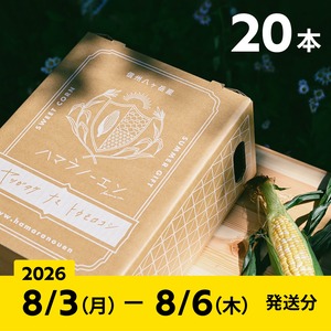 2026【通常予約／20本】八ヶ岳生とうもろこし／ギフトボックス入り／8月3日（月）〜8月6日（木）お届け