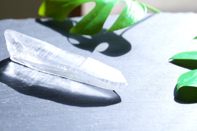 ピュアレイ　ポイント