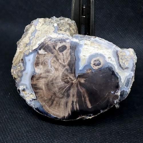 ワイオミング州産ブルーフォレスト 珪化木 ペトリファイドウッド 162,9g PFW009　 鉱物 標本 原石 天然石 パワーストーン