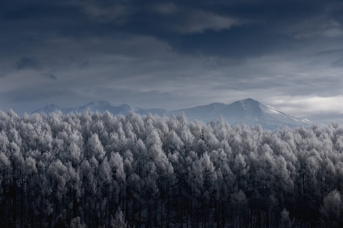 Mt. Taisetsu - Winter 2020