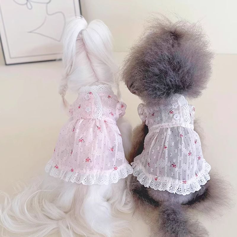 レーストリム フレアーシャーリング 犬用 ワンピース 犬服 00679