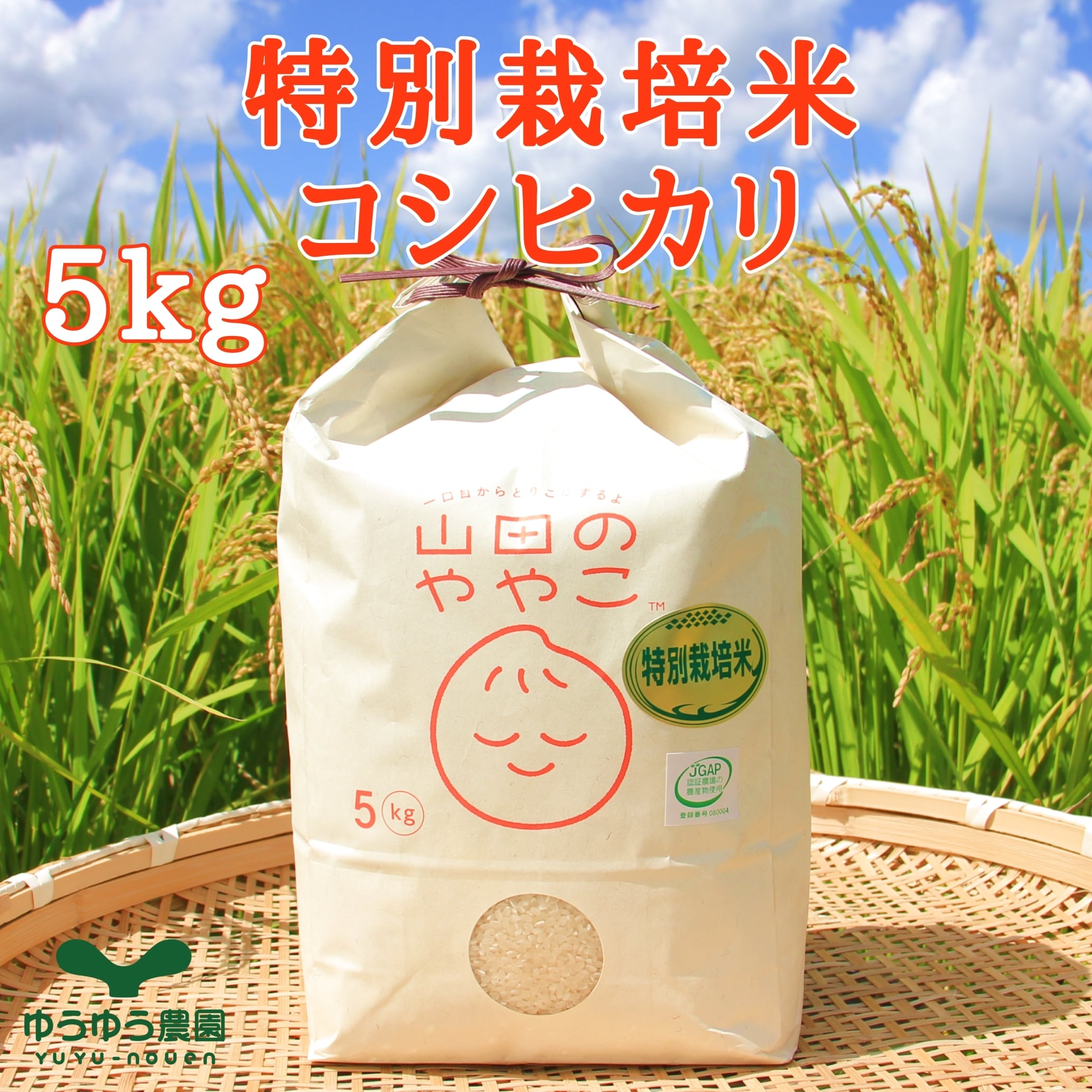 629daab3f1ab0dc1e558e5719b7708