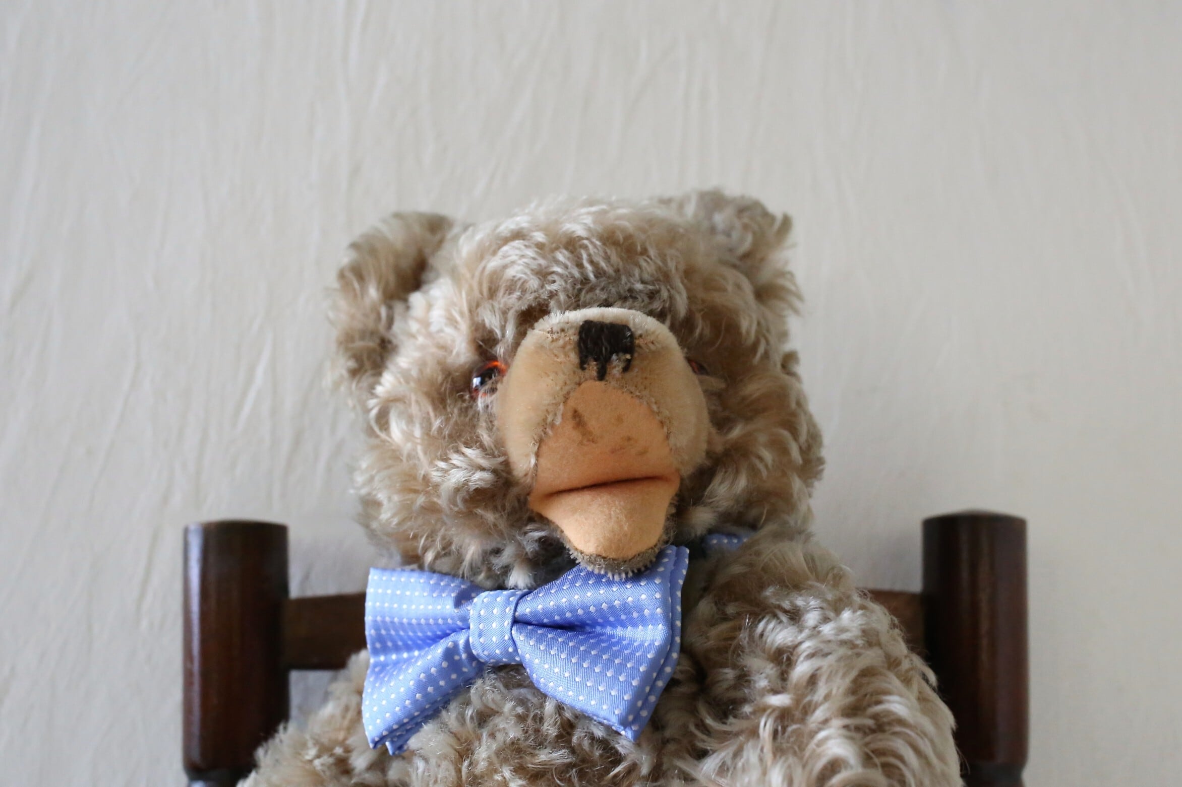 ドイツ アンティーク ヴィンテージ HERMANN ハーマン テディベア