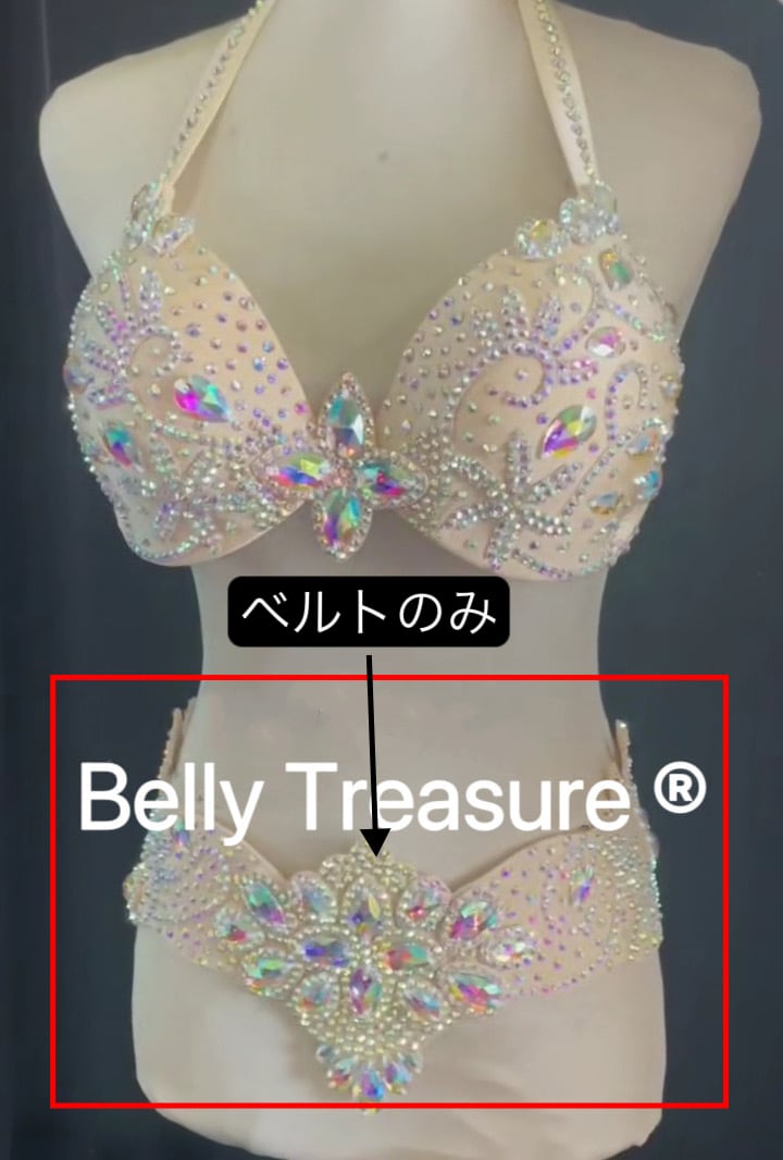 N様専用 ご注文窓口ベリーダンス オーダーメイド衣装 ベルトのみ LY 2103 202306