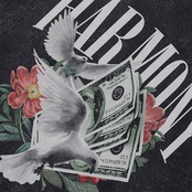 VINTAGE ストリート Harmony Tシャツ T794