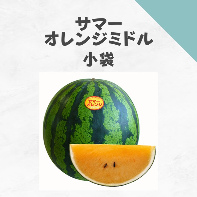 サマーオレンジミドル　スイカ種子・小袋