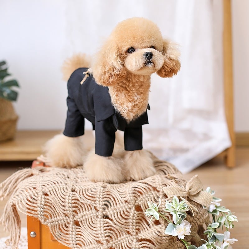 大型犬もOK スマートに決まるシャツとタキシード上下セット | おむのおうち