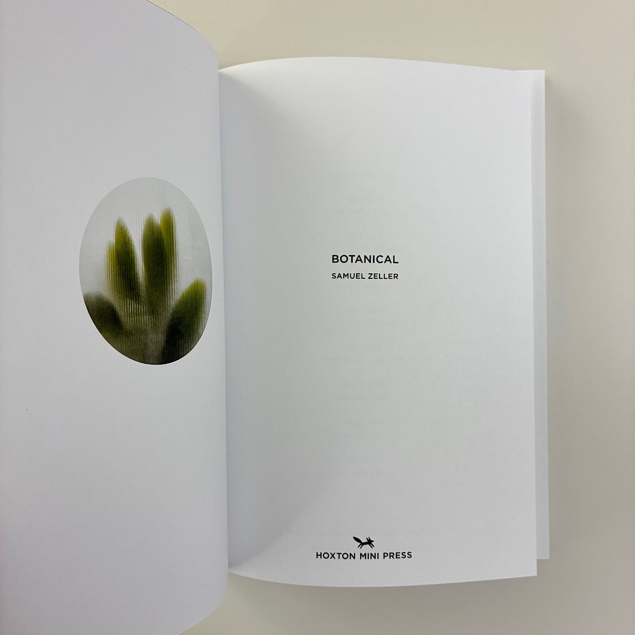 Botanical | 素敵な洋書絵本のお店 Read Leaf Books