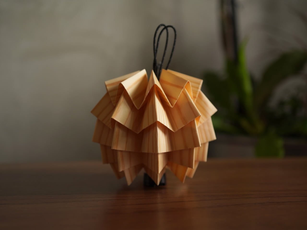 新品☆NODEL DESIGN solol wood (sugi)、ソルオル、杉 solo wood 【sugi】 | NODELDESIGN ONLINE STORE