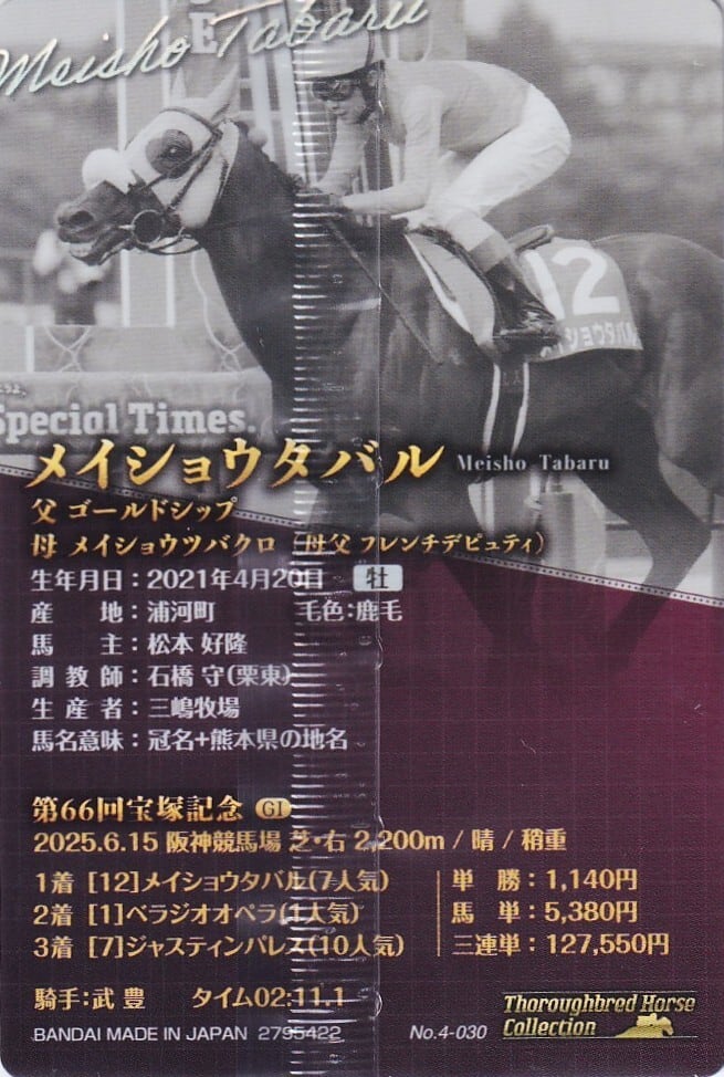 メイショウタバル：第66回 宝塚記念「サラブレッドホースコレクション