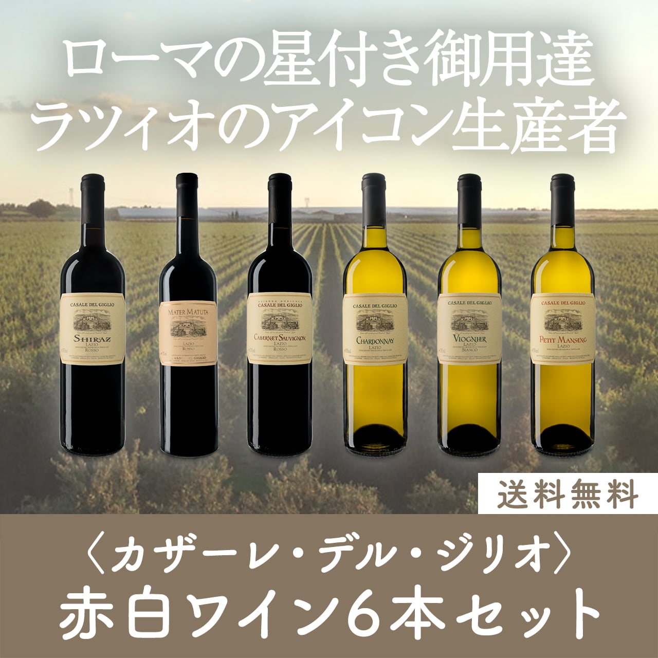ローマの星付き御用達!カザーレ・デル・ジリオ赤白ミックスワイン6本セット〈30%OFF&送料無料〉(B706076)