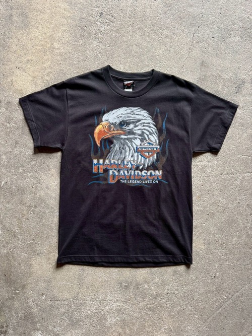 HARLEY-DAVIDSON DISTRESSED LEGEND TEE