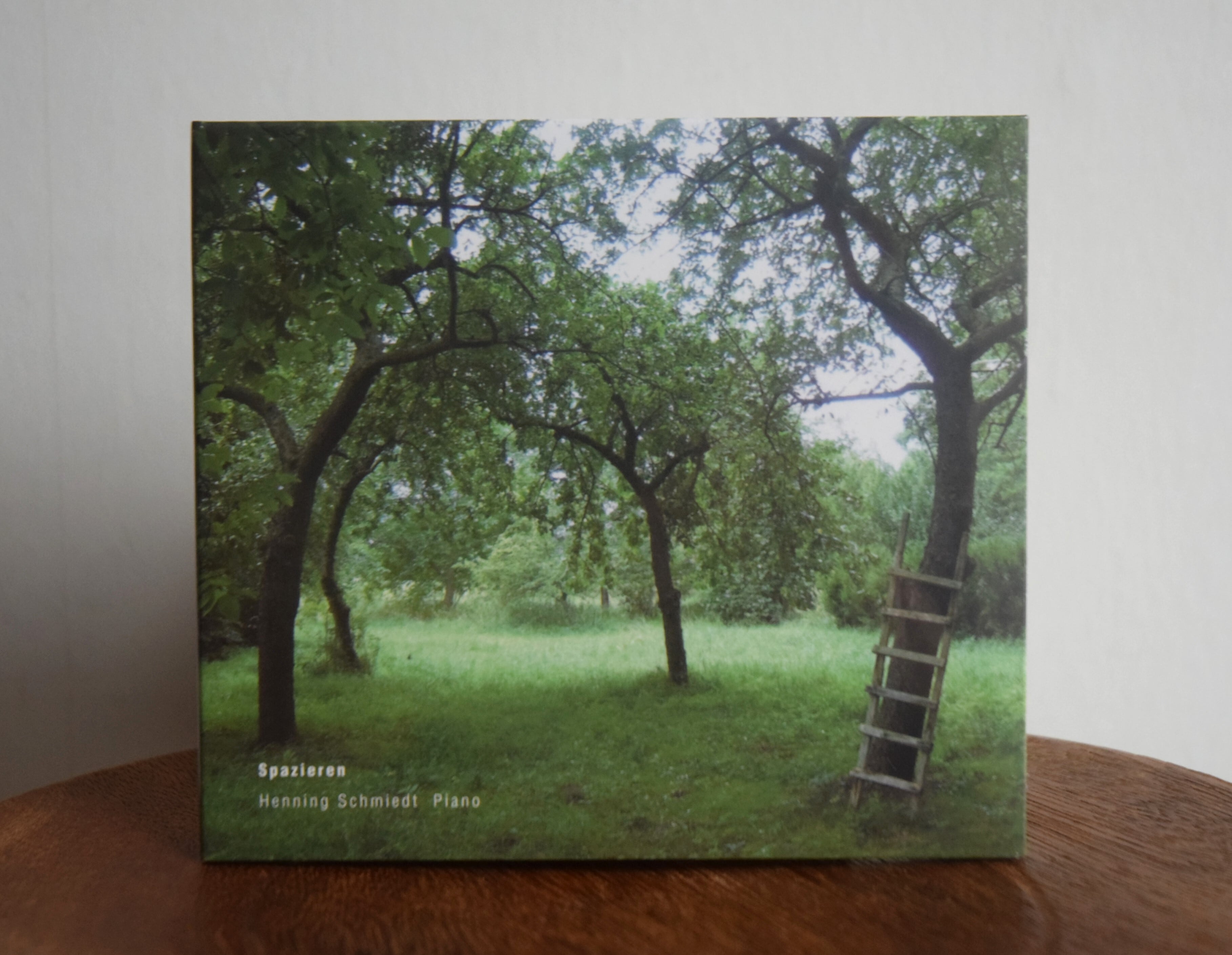 LP】＜初回限定盤/カラー盤＞青葉市子 / Luminescent Creatures | 日田