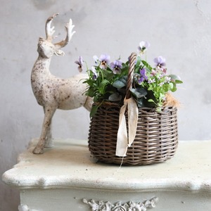 冬から春に楽しむ寄せ植え　ビオラNorthIslandViora北島園芸オリジナルとシックカラーのハボタンのバスケットの寄せ植え　お正月にオススメ　届いてすぐ玄関に飾れる 　プレゼントにもオススメ　