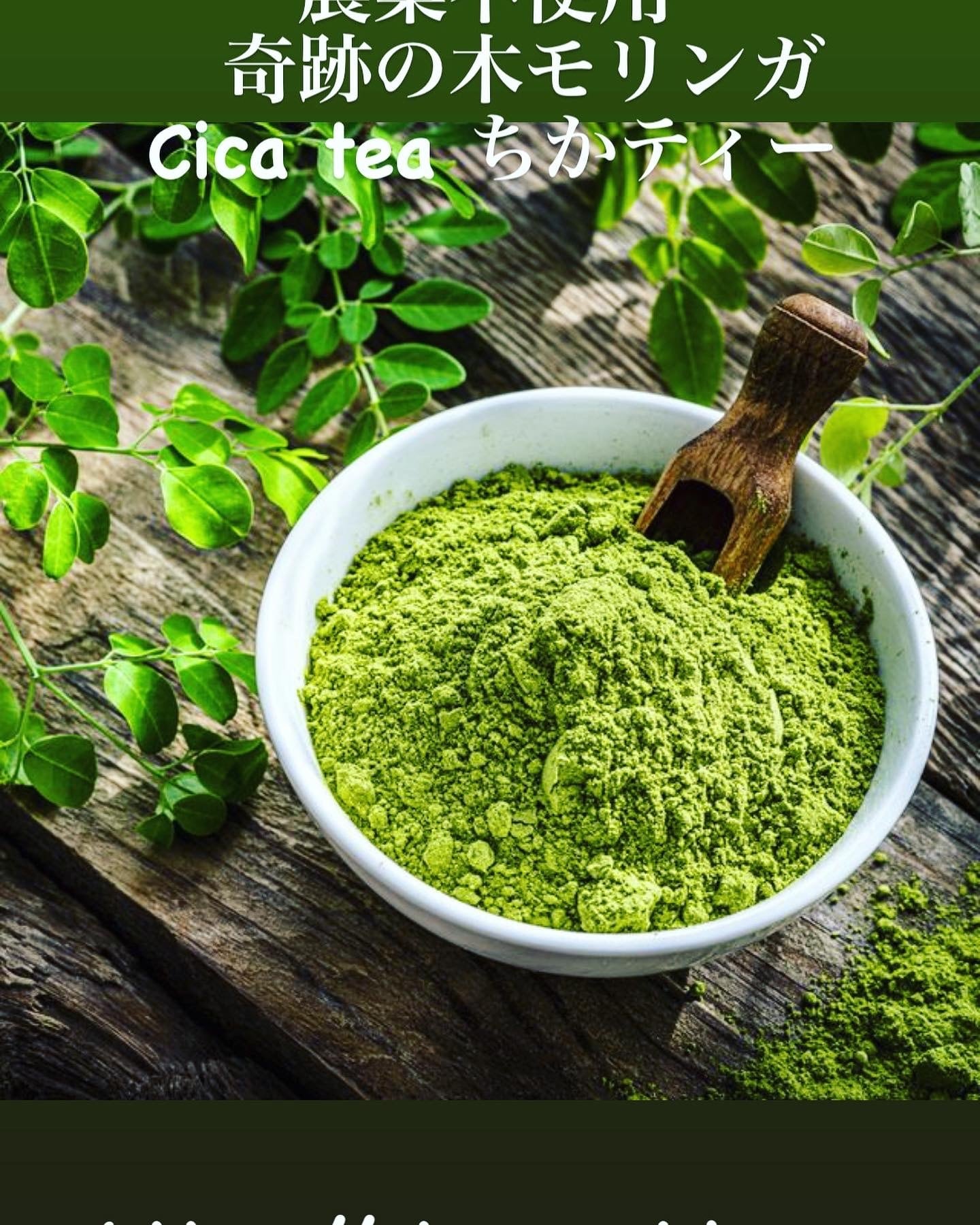 モリンガパウダーお得用期間限定価格(国内産) | C TEA WORLD
