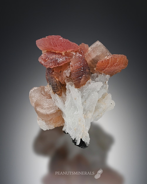 ロードクロサイト / アパタイト / アルバイト【Rhodochrosite with Apatite on Albite】パキスタン産