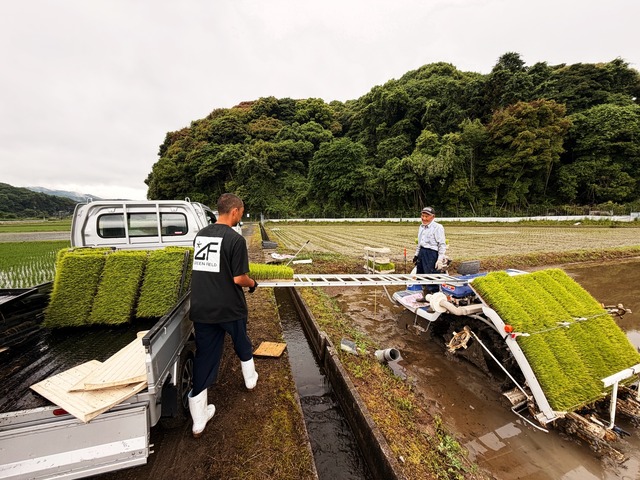 苗送るんジャー