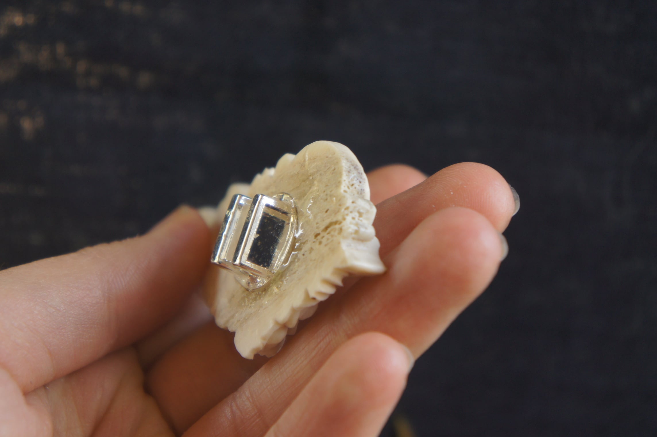 鹿角彫刻の帯留め「月齢」鹿頭骨と彼岸花 | deer bone 