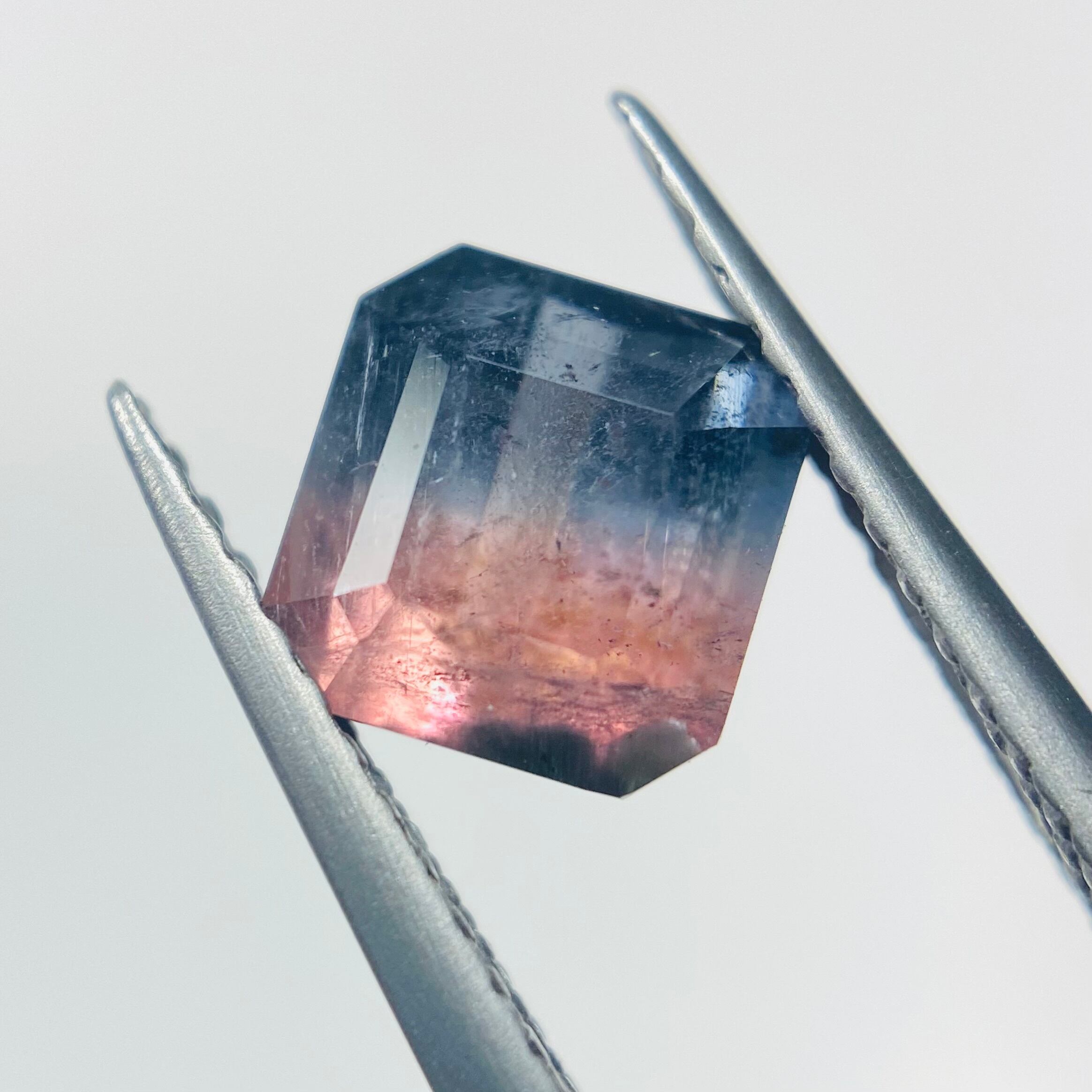 2色の紫陽花　バイカラートルマリン2