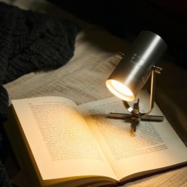 LED スポットライトスピーカーペア