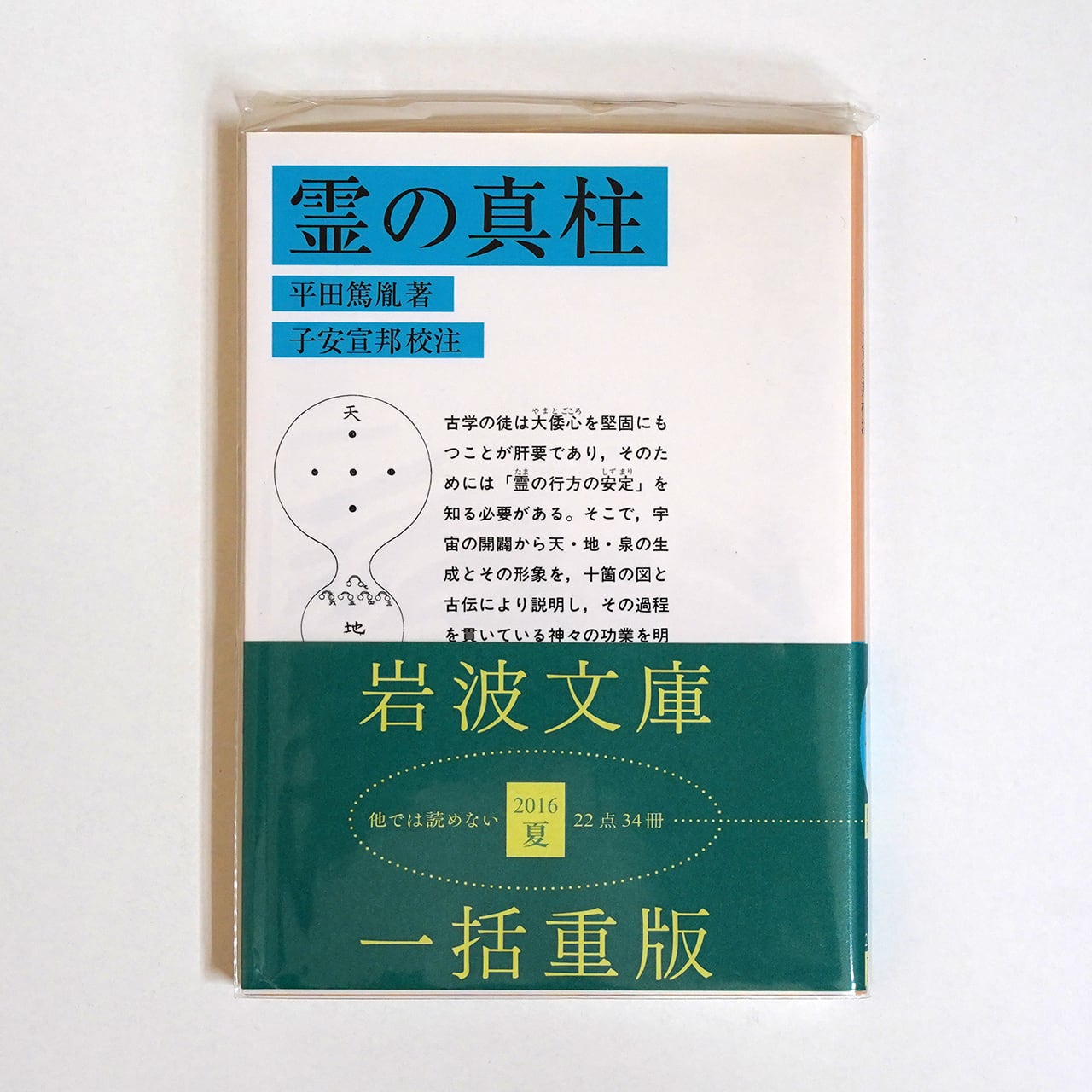 原色日本海岸動物図鑑(保育社の原色図鑑 8) 理学博士 内海富士夫著