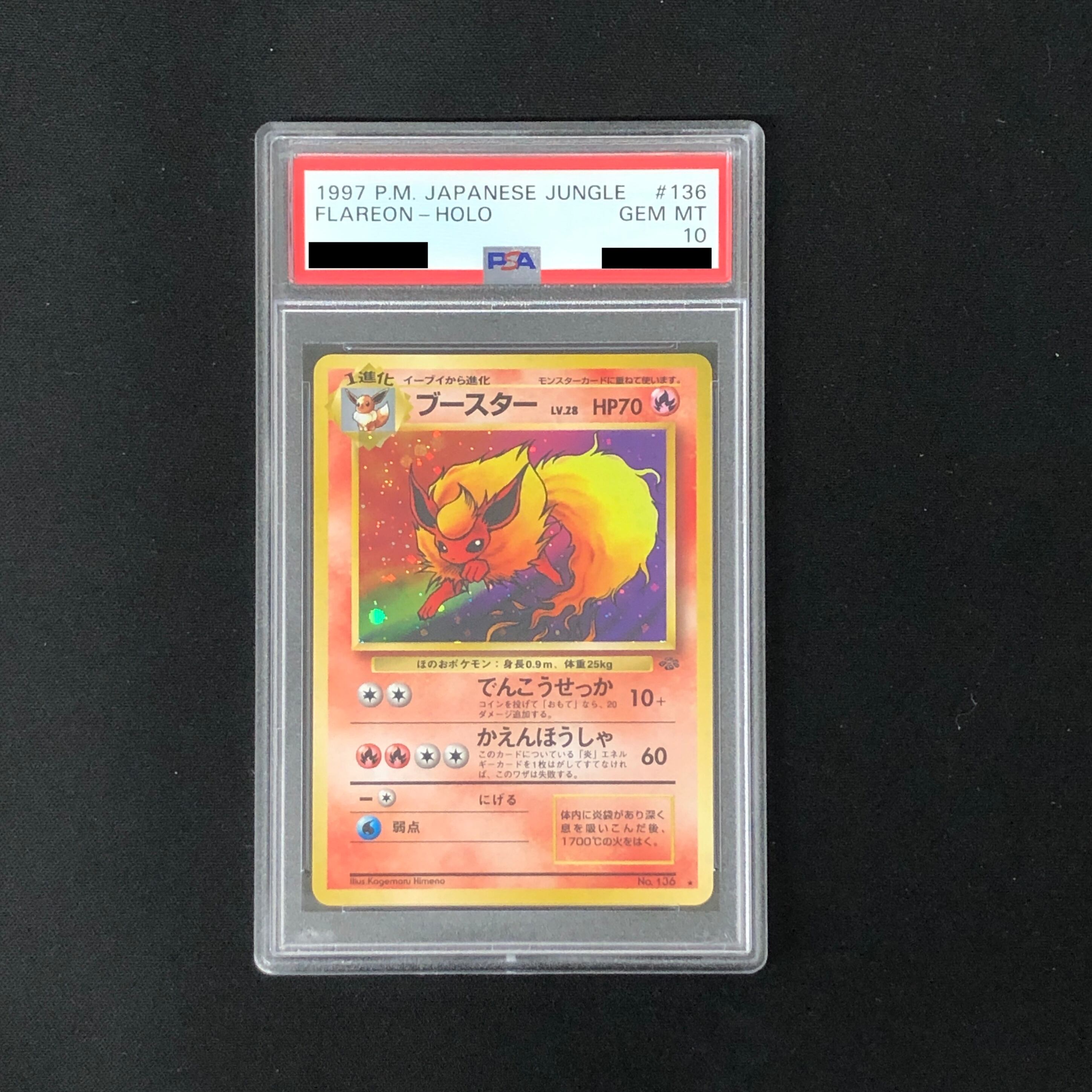 天空の守護者グラン・ギューレ　PSA9