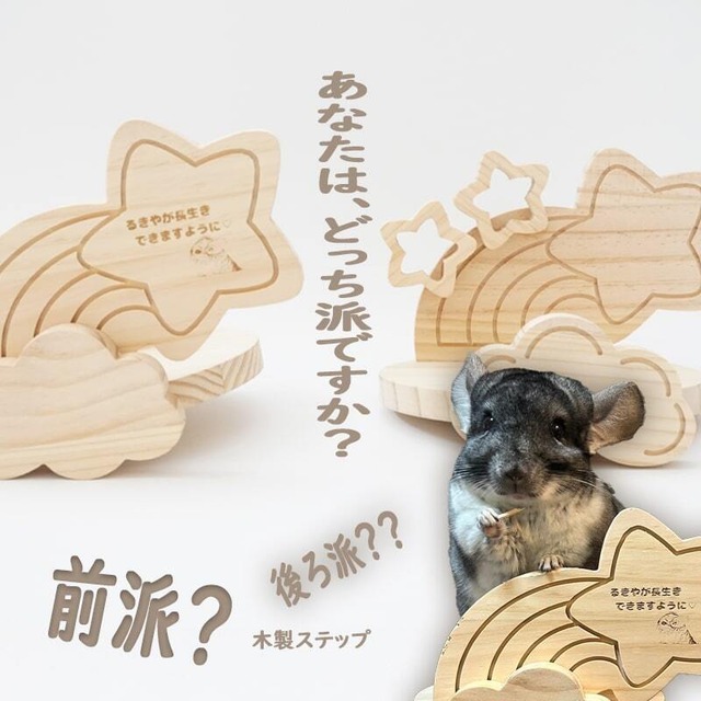 願いが叶う!? “星に願いを”木製お星さまステップ