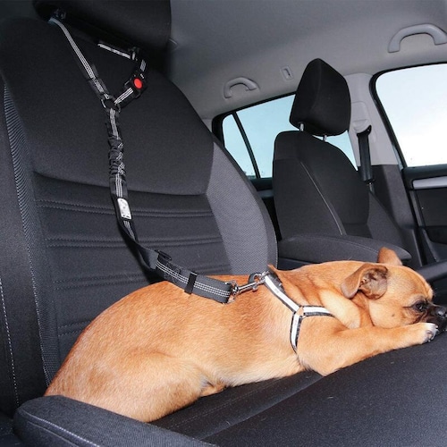 【犬用品】カーリード　犬用リード　犬用シートベルト　中型犬　大型犬