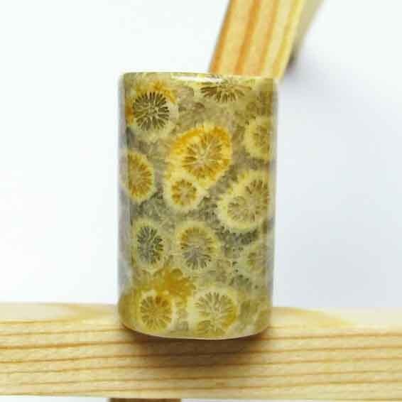 珊瑚 フォッシルコーラル お守り石 タンブル 穴なし [M便 1/10] 145-75