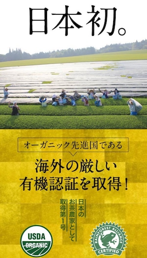 オーガニック緑茶 煎茶 ティーバッグ 30袋セット 農薬不使用 化学肥料不使用