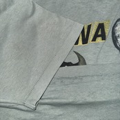 【NIRVANA】ニルヴァーナ INCESTICIDE 90's Vintage Tシャツ