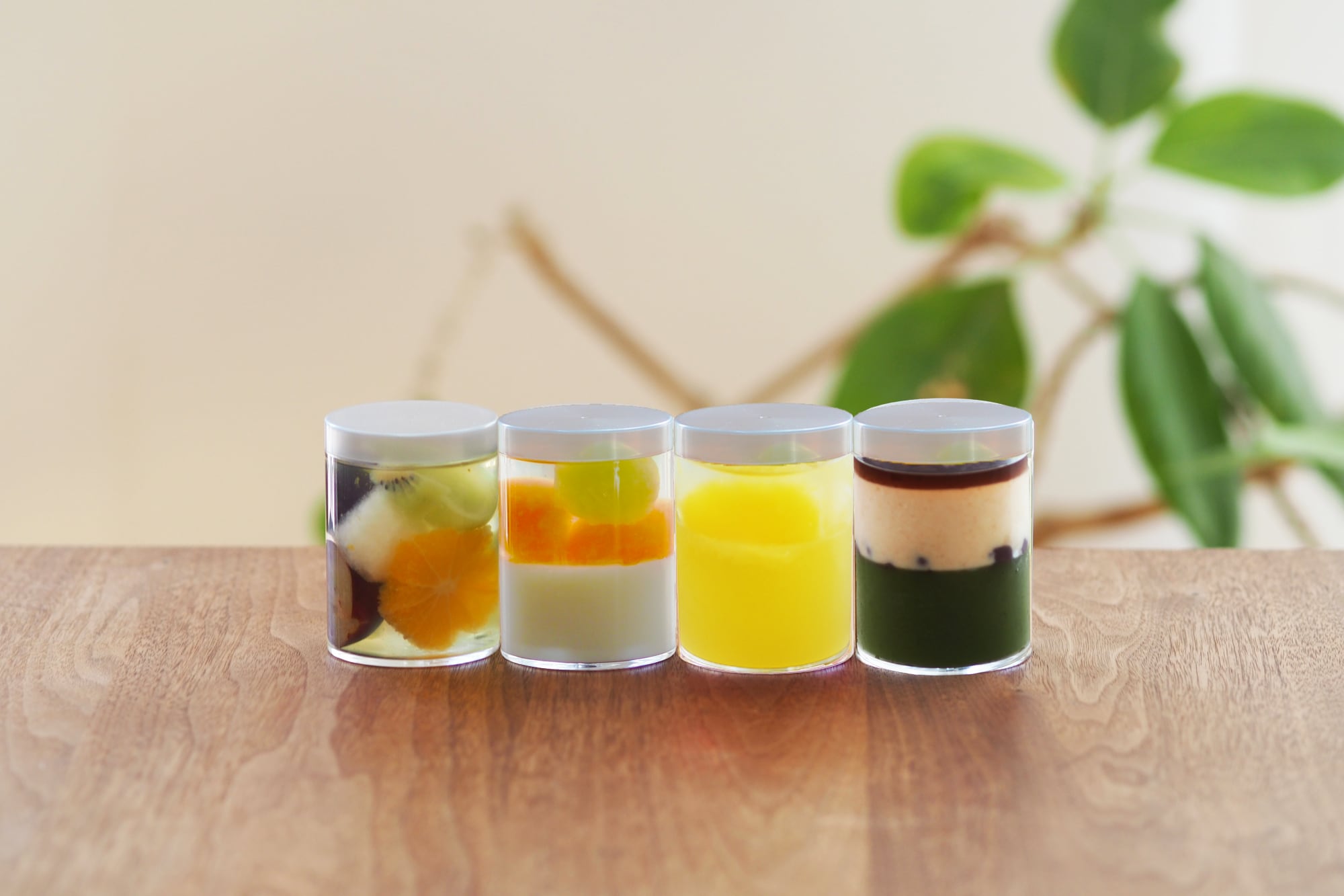 6月のゼリーセットB【旬の果物・メロンパンナコッタ・河内晩柑・抹茶きなこ黒蜜】6月26日発送予定