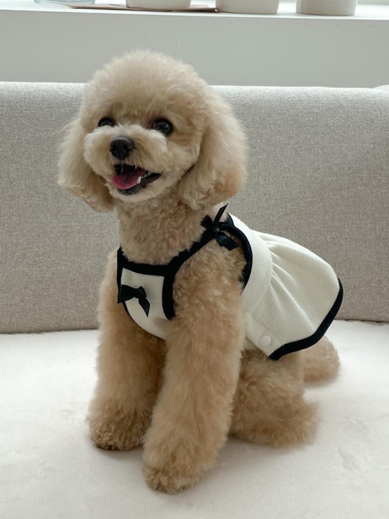 即納【smolbite】Butter onepiece