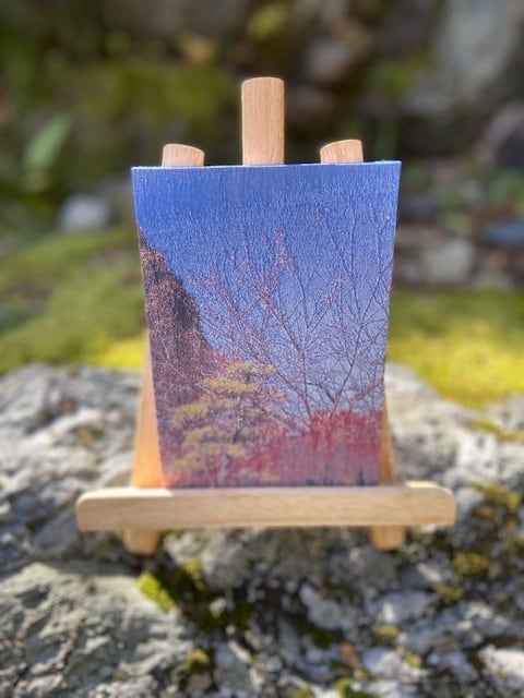 御城印帳(犬山城 紅葉) | オンラインショップ