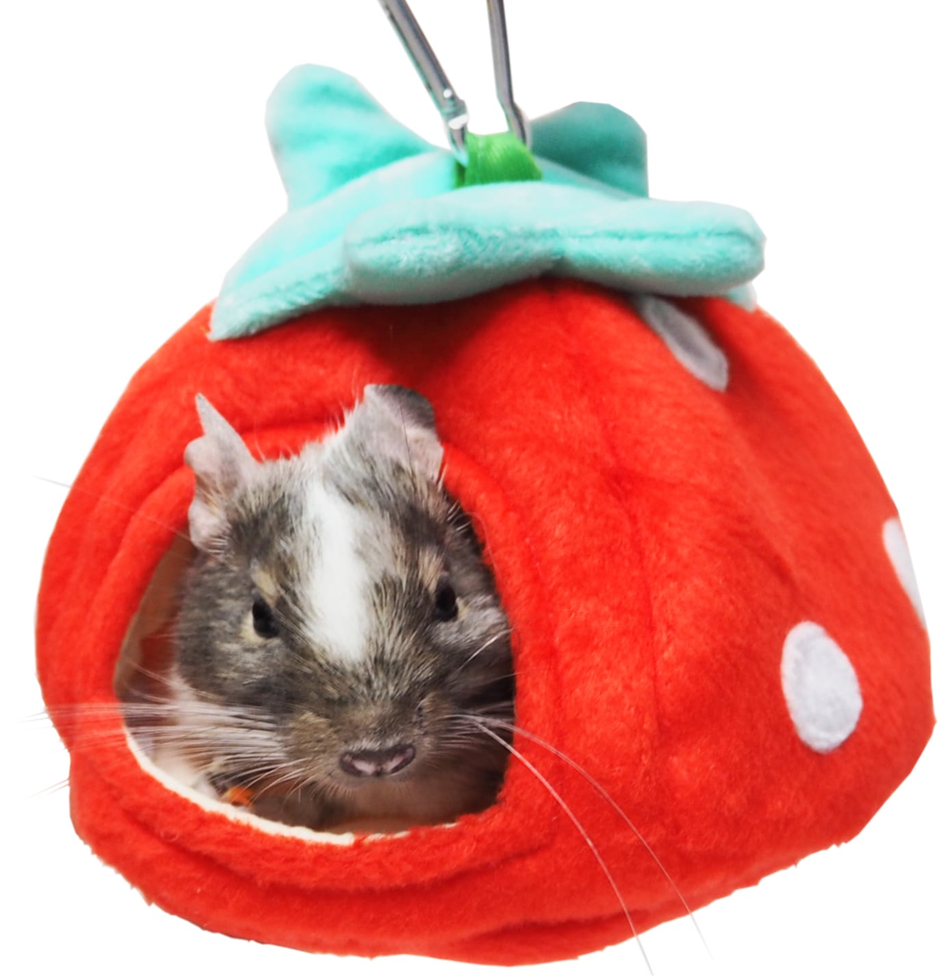 【小動物】ゆらゆらいちごハウス レッド/ピンク