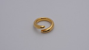 R-011-gold