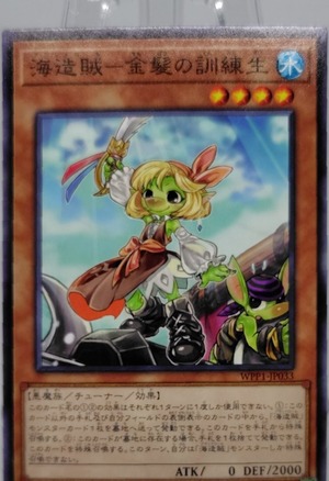海造賊−金髪の訓練生【WPP1-JP033】[N]