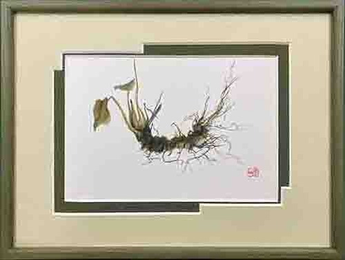 笹川春艸作品展「fusion」開催記念　出品作品　『わさび』　墨画