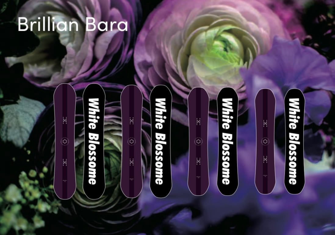 24-25 White Blossom Brillian Bara | ENCOUNT