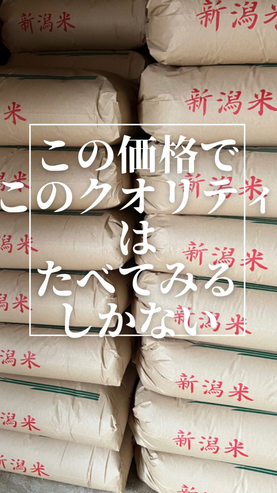 福島県産 こしひかり 100% 20kg 新米 令和7年 有機肥料 送料無料 福島県産 こしひかり 100% 20kg 新米 令和7年 有機肥料 送料無料