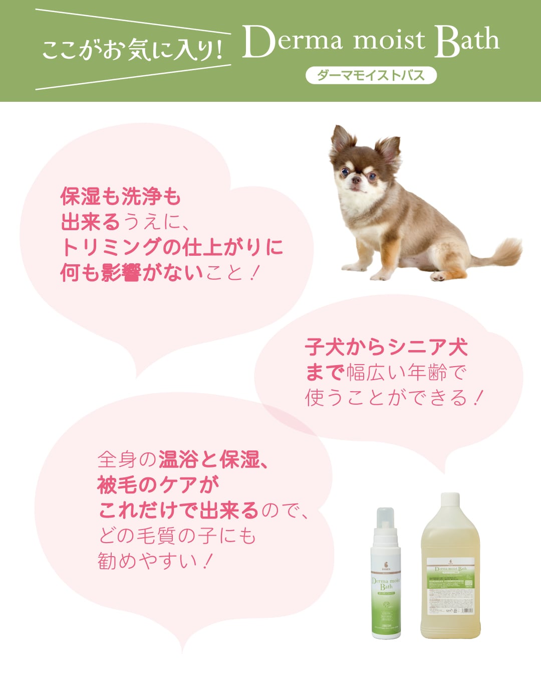 犬猫）〈入浴剤〉ダーマモイストバス 400ml【BASICS】〈在庫