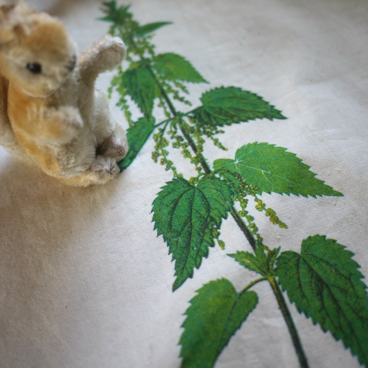 エコバッグ KANOLDT 植物医薬品 ドイツ古着 ヴィンテージ