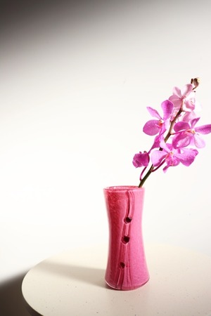 Pink dot vase