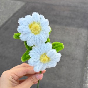 【アウトレット】グラデーションデイジー＜展示品＞